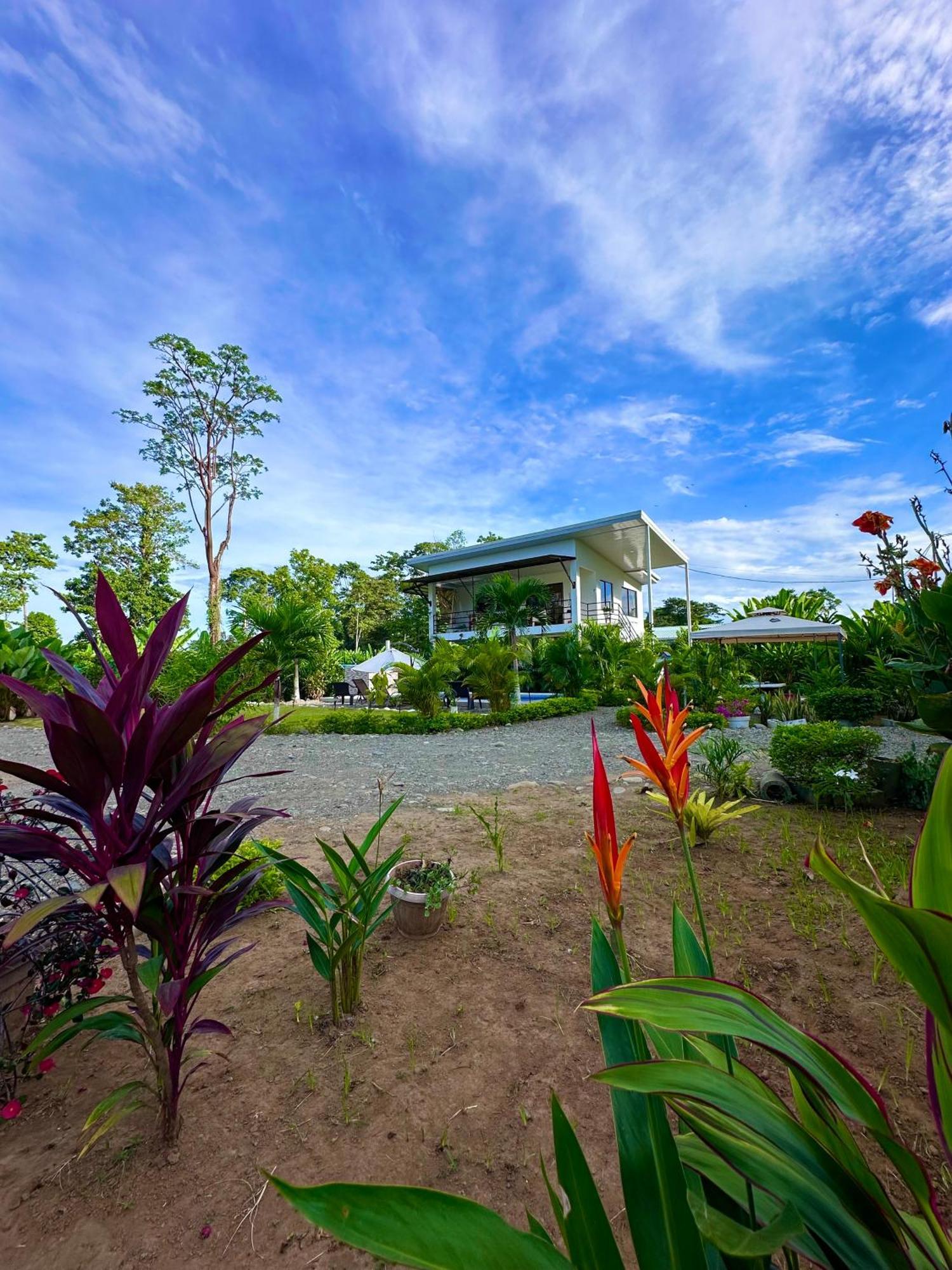 Oso Perezoso Pool Villa Puerto Viejo de Talamanca Exteriör bild