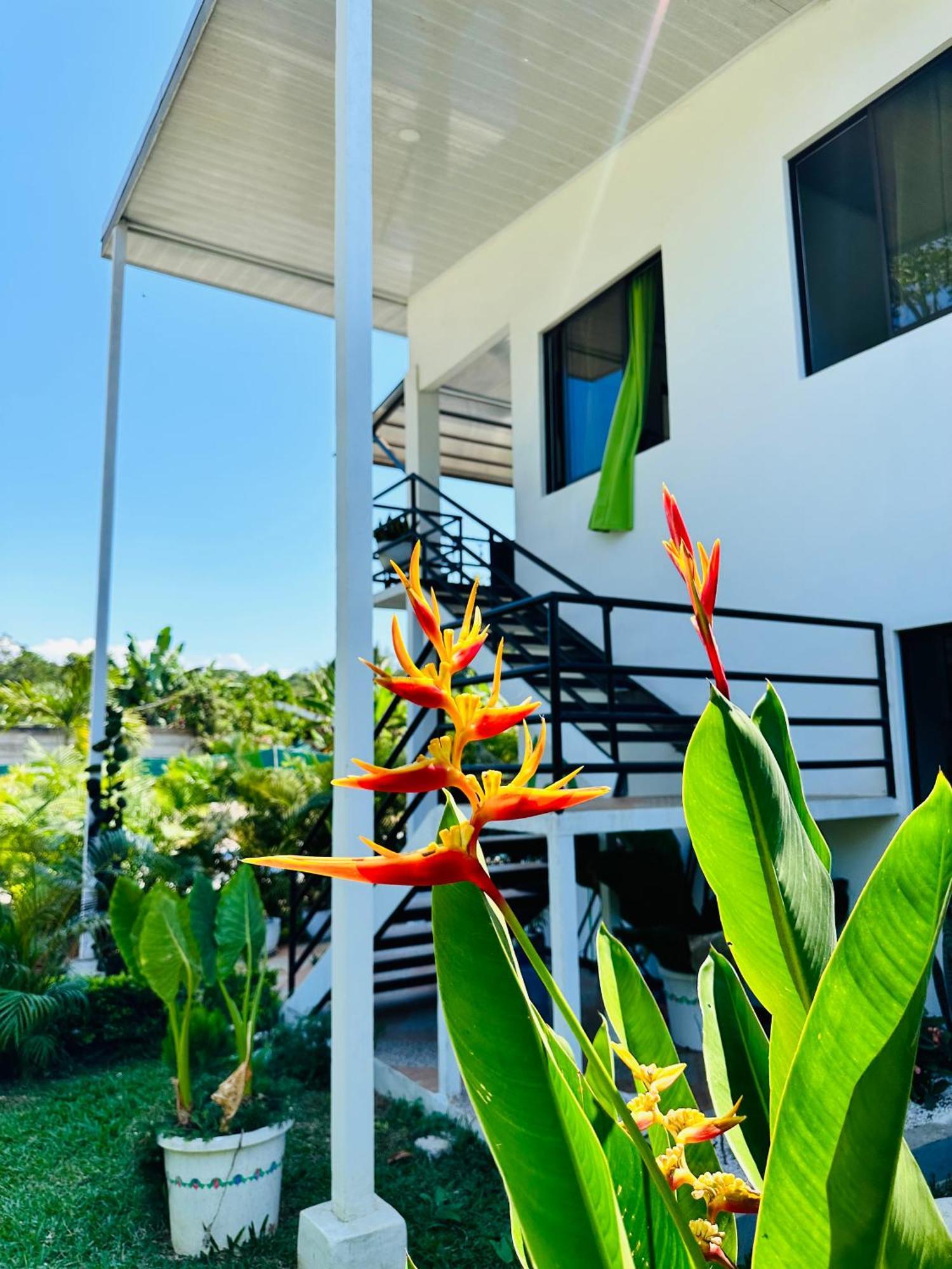 Oso Perezoso Pool Villa Puerto Viejo de Talamanca Exteriör bild