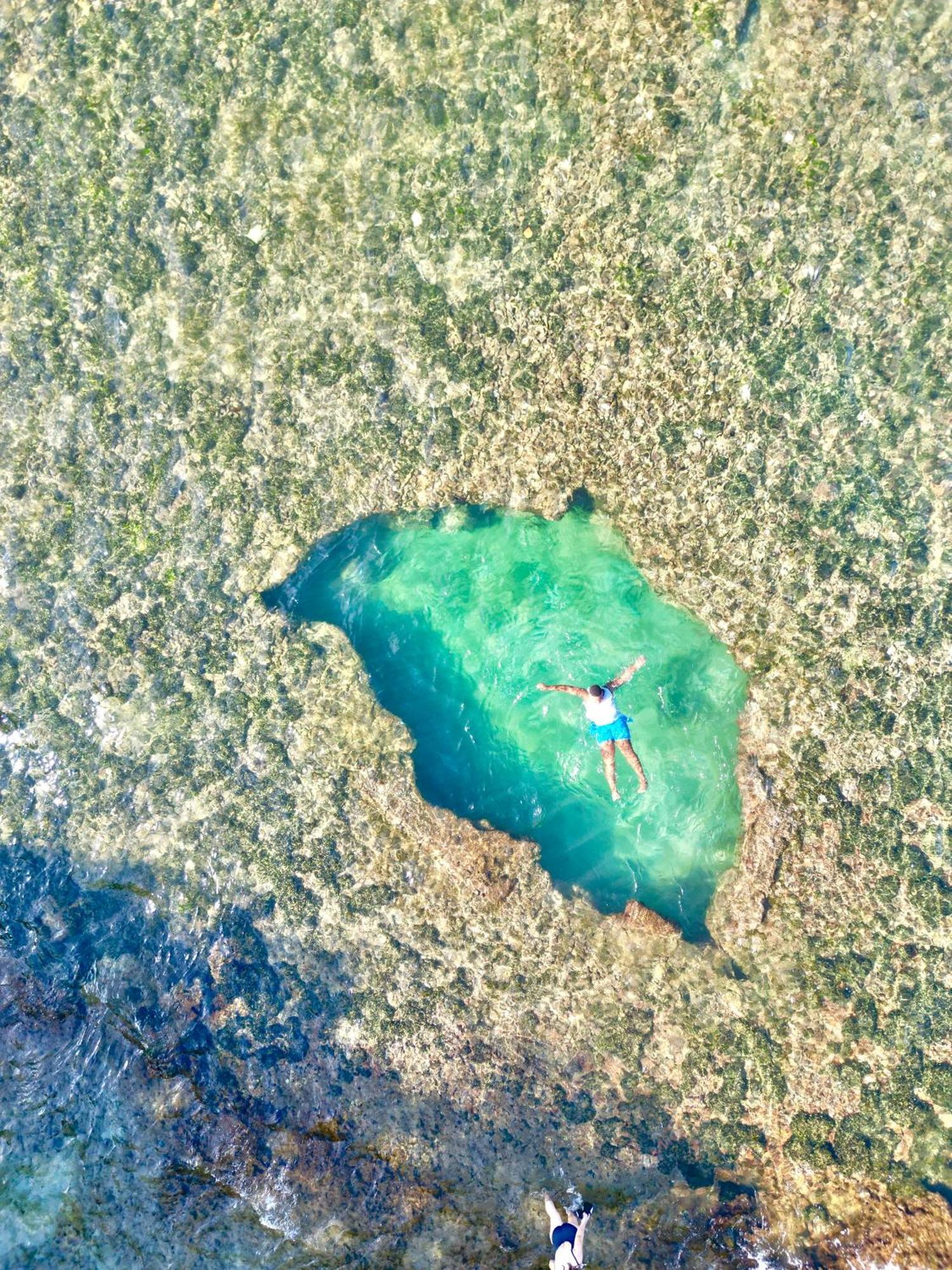 Oso Perezoso Pool Villa Puerto Viejo de Talamanca Exteriör bild