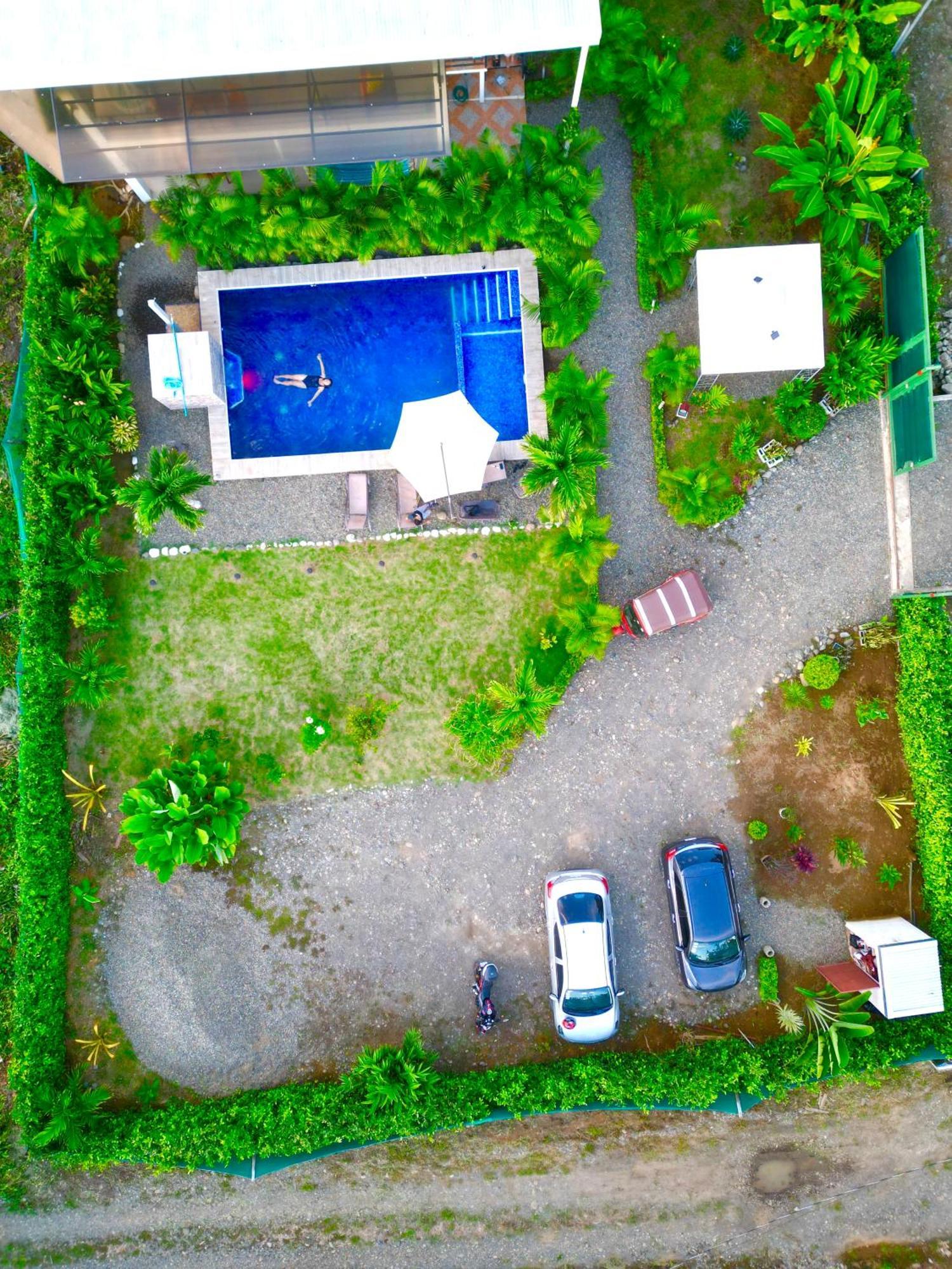 Oso Perezoso Pool Villa Puerto Viejo de Talamanca Exteriör bild