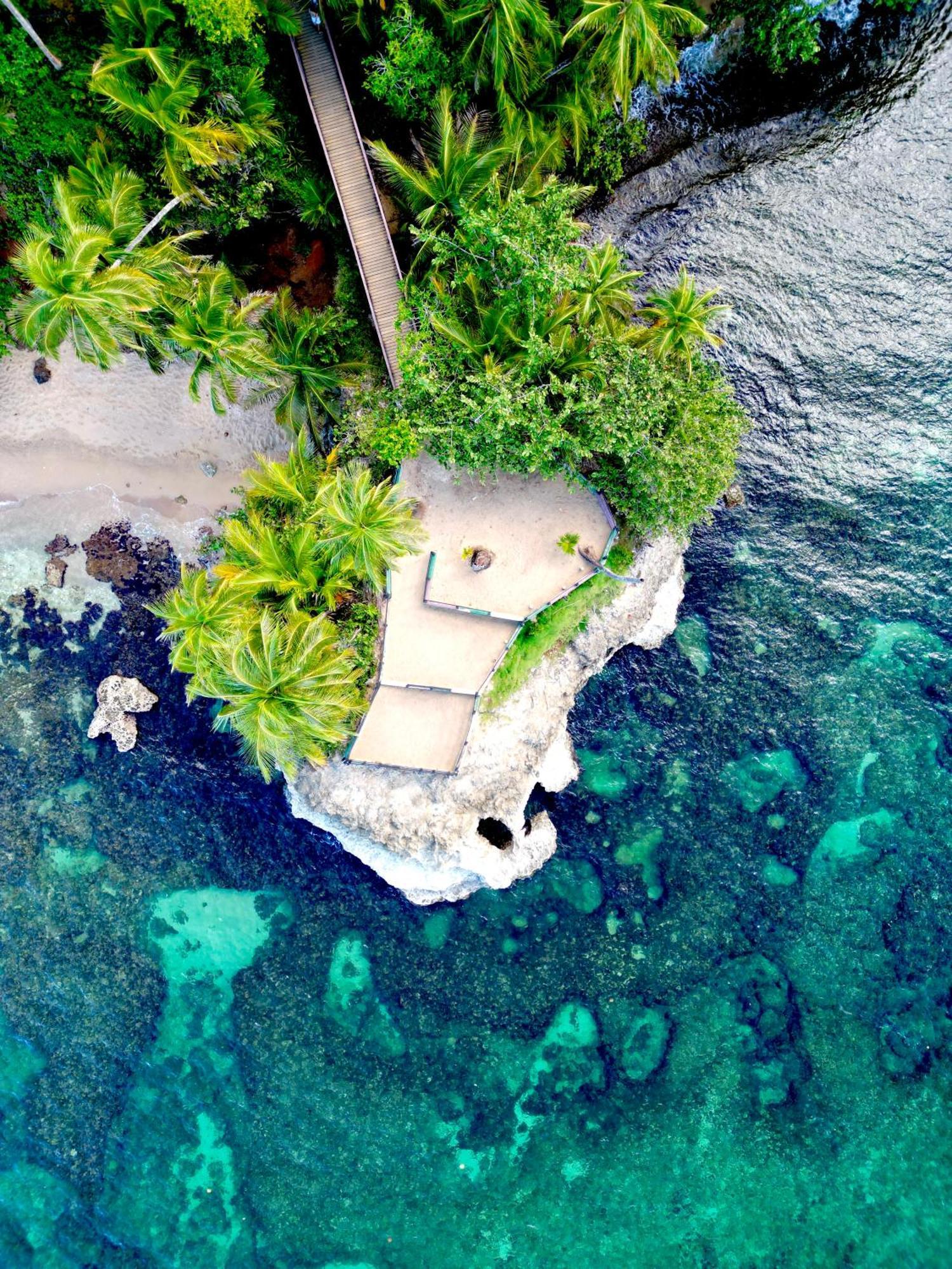Oso Perezoso Pool Villa Puerto Viejo de Talamanca Exteriör bild