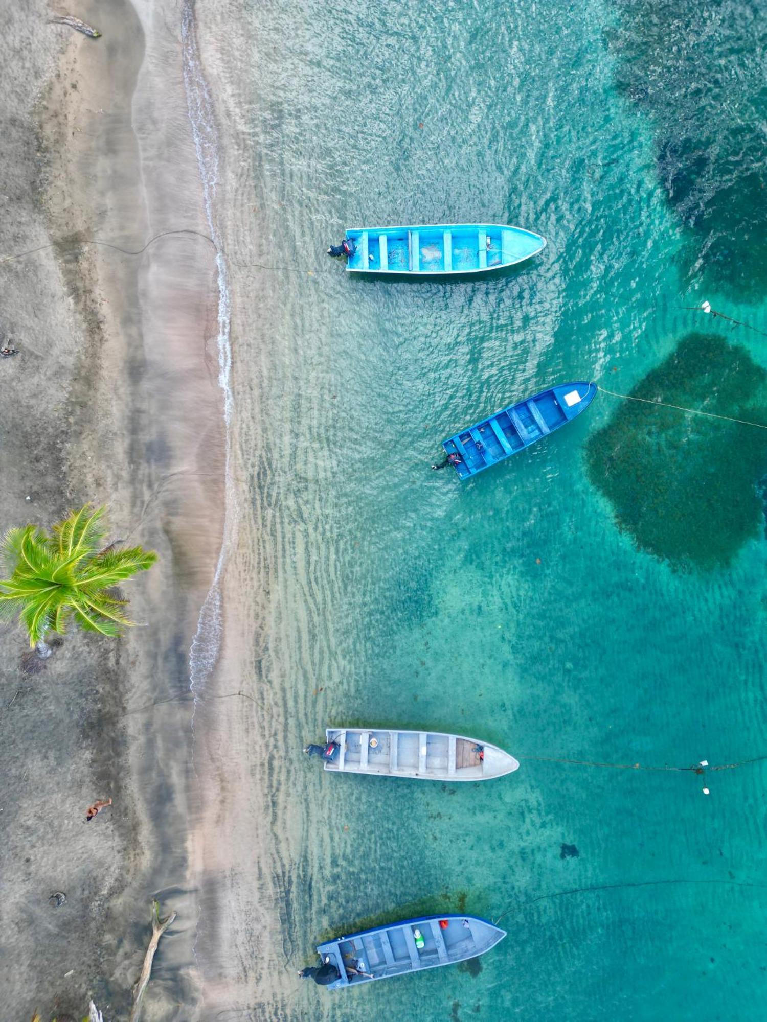 Oso Perezoso Pool Villa Puerto Viejo de Talamanca Exteriör bild